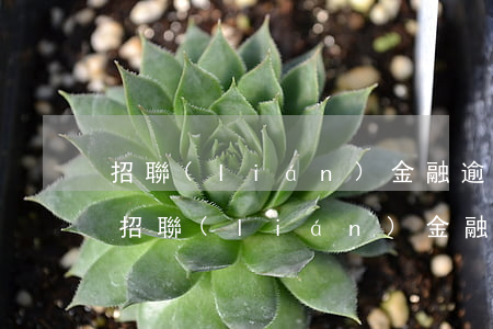 招聯(lián)金融逾期多久會上法院-招聯(lián)金融逾期一年多了說要向人民法院提起訴訟咋辦