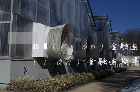 招聯(lián)金融逾期無力還款(招聯(lián)金融逾期半年了目前這種情況更是無力還款了怎么辦)