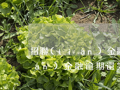招聯(lián)金融逾期還完（招聯(lián)金融逾期還完）