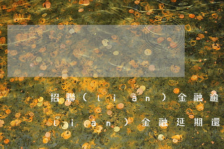 招聯(lián)金融逾期還款政策(招聯(lián)金融延期還款)