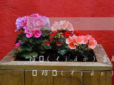招聯(lián)金融還欠3萬多沒還怎么辦(招聯(lián)金融欠了四萬,現(xiàn)在沒錢還了,怎么辦)