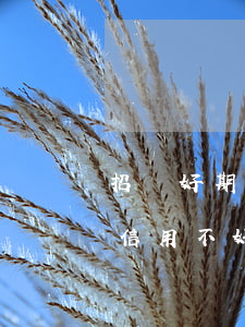 招聯好期貸 逾期還款 招聯好期貸逾期還款后,信用不好,多久可以解凍