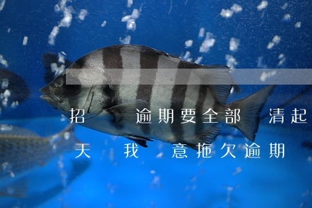 招聯貸逾期要全部結清起訴(招聯金融逾期十天說我惡意拖欠逾期嚴重)