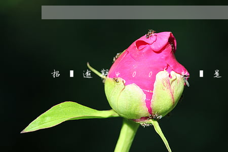 招聯逾期4000起訴是真的嗎