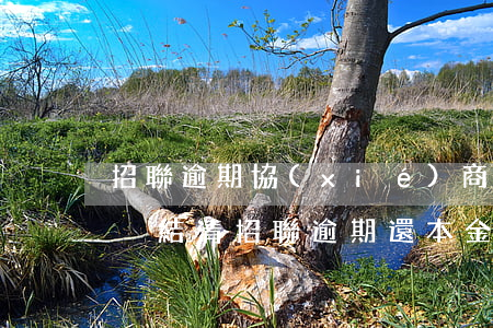 招聯逾期協(xié)商還了本金但是一直沒結清（招聯逾期還本金不同意）