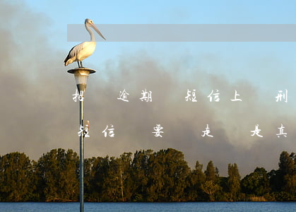 招聯逾期發短信上報刑偵-招聯金融逾期發短信說要來走訪是真的嗎?