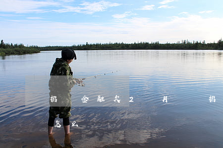 招聯金融欠2個月沒還(招聯金融一個月沒還怎么辦)