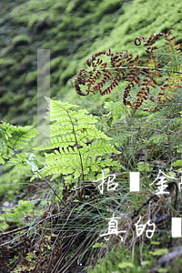 招聯金融逾期一年多今天收到短信說要申訴真的嗎（招聯金融逾期微信恐嚇）