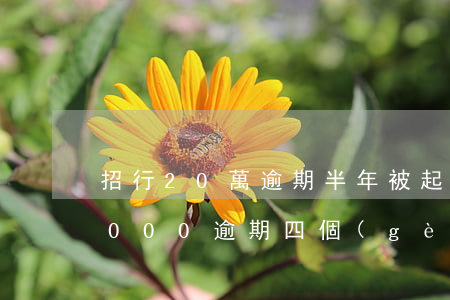 招行20萬逾期半年被起訴(招商銀行欠款8000逾期四個(gè)月會起訴嘛)