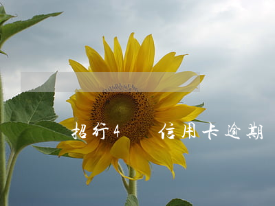 招行4萬信用卡逾期滯納金