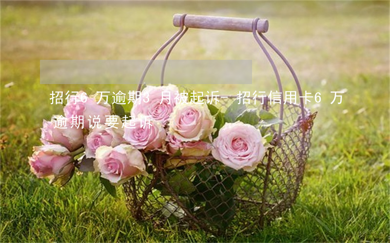 招行6万逾期3月被起诉-招行信用卡6万逾期说要起诉