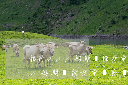 招行app好期貸能提前還款嗎-招行app好期貸能提前還款嗎安全嗎