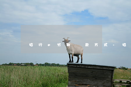 招行e分期還款方式-招行e分期如何還款