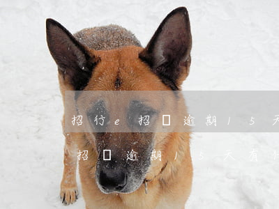 招行e招貸逾期15天有什么影響-招行e招貸逾期15天有什么影響嗎
