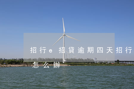 招行e招貸逾期四天(招行e招貸多還了三期怎么辦)