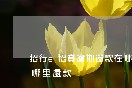 招行e招貸逾期還款在哪(招商銀行e招貸在哪里還款)