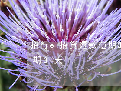 招行e招貸還款逾期3天(招行e招貸還款逾期3天)