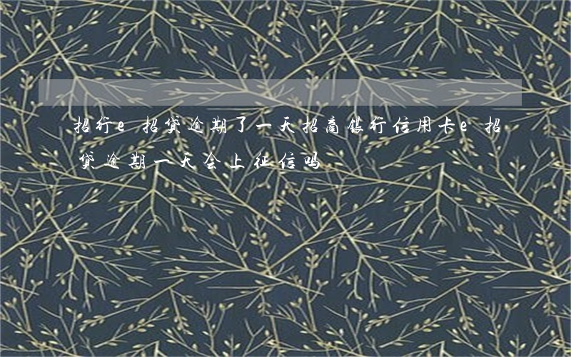 招行e招贷逾期了一天 招商银行信用卡e招贷逾期一天会上征信吗