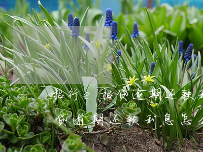 招行e招贷逾期还款利息怎么算-招行e招贷逾期还款利息怎么算出来的