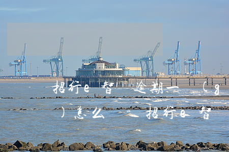 招行e智貸逾期一個(gè)月會(huì)怎么樣-招行e智貸利息多少