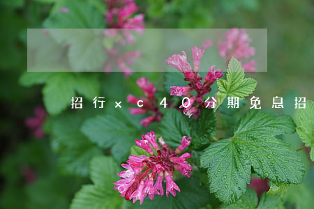 招行xc40分期免息 招行分期4折