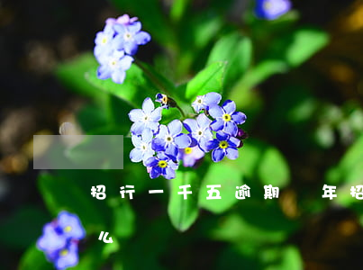 招行一千五逾期兩年 招行一千五逾期兩年怎么辦