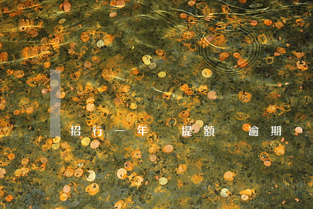 招行一年沒提額沒逾期