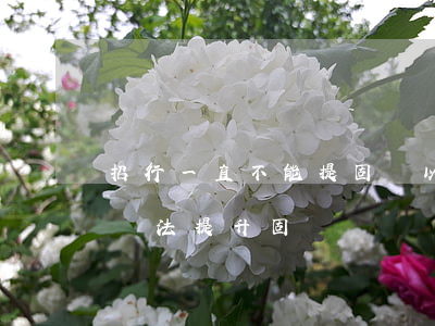 招行一直不能提固額以前有逾期-招商銀行無法提升固額