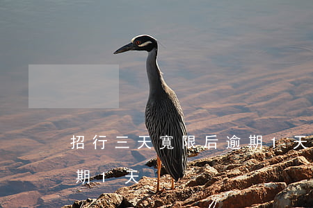 招行三天寬限后逾期1天(招行三天寬限后逾期1天)