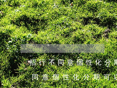 招行不同意個性化分期可以投訴嗎-招行不同意個性化分期可以投訴嗎安全嗎