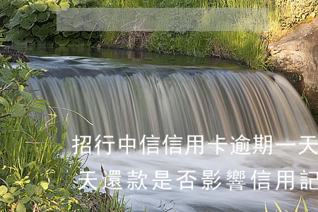 招行中信信用卡逾期一天(招行信用卡逾期1天還款是否影響信用記錄?)