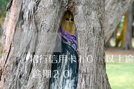 招行信用卡10萬以上逾的多嗎（招行信用卡逾期20萬）