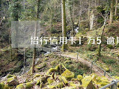 招行信用卡1万5逾期半年多少钱