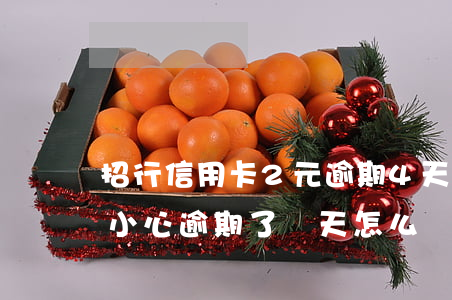 招行信用卡2元逾期4天(招商銀行信用卡不小心逾期了幾天怎么辦)
