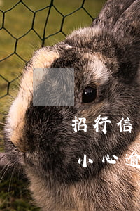 招行信用卡2元逾期4天(招商银行信用卡不小心逾期了几天怎么办)