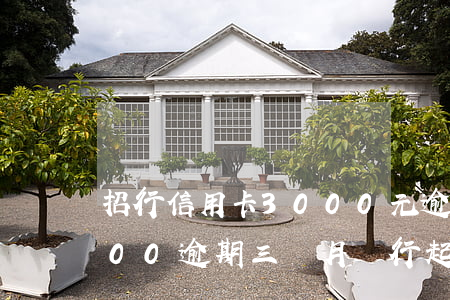 招行信用卡3000元逾期(招商信用卡3000逾期三個月銀行起訴我)