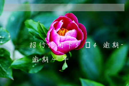 招行信用卡3萬4逾期-招行信用卡4萬7逾期一年