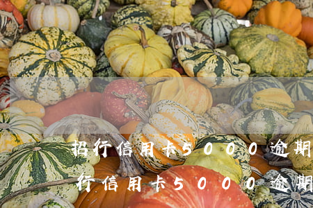招行信用卡5000逾期三個(gè)月(招行信用卡5000逾期三個(gè)月)