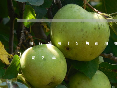 招行信用卡5萬逾期兩年(5千額度信用卡逾期2年)