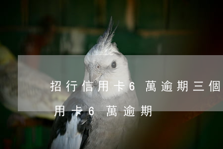 招行信用卡6萬逾期三個月上海(招商銀行信用卡6萬逾期)
