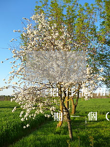 招行信用卡一年逾期4次(招商銀行信用卡逾期一個(gè)月會(huì)怎樣后果)