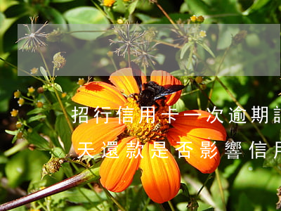 招行信用卡一次逾期記錄(招行信用卡逾期1天還款是否影響信用記錄?)