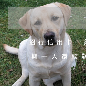 招行信用卡一般是逾期幾天會催(招商銀行逾期一天還款對信用有影響嗎)