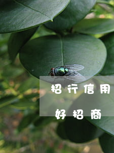 招行信用卡不還會(huì)怎么樣(信用不好招商銀行信用卡怎么能通過(guò))