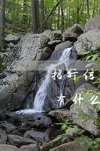 招行信用卡不還會怎樣(招商銀行信用卡不還有什么后果)