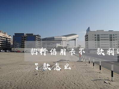 招行信用卡不還款利率(招商銀行信用卡還不了款怎么辦)