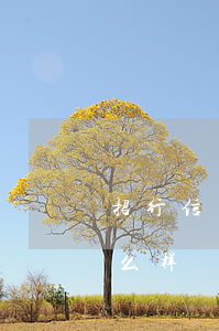 招行信用卡业务员(招行信用卡业务员工作怎么样)