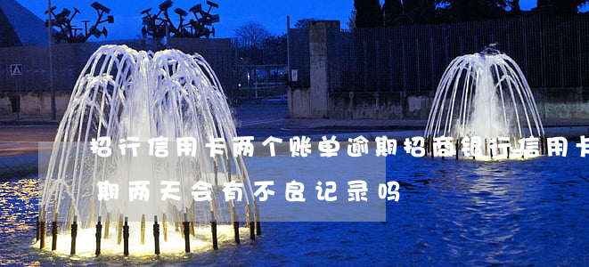 招行信用卡两个账单逾期(招商银行信用卡逾期两天会有不良记录吗)