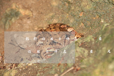 招行信用卡停息掛賬要滿足什么條件-招行信用卡停息掛賬要滿足什么條件才能辦理