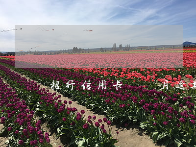 招行信用卡兩個月逾期還款 招商逾期兩個月